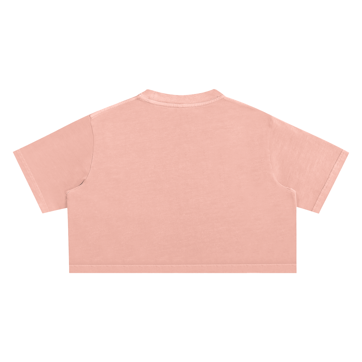 Snow Washed Crop Top
