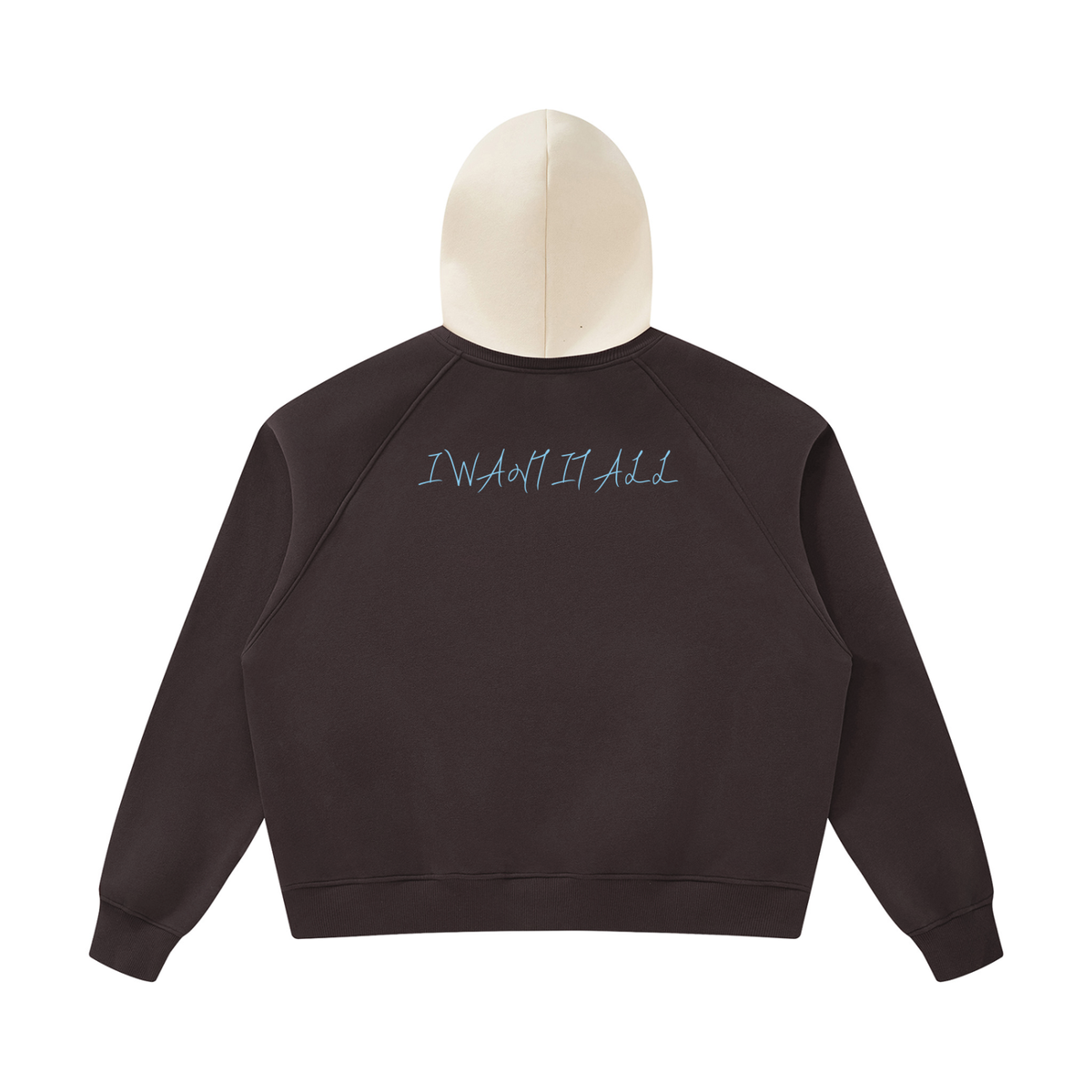 Unisex Fleece Raglan Color Block Hoodie
