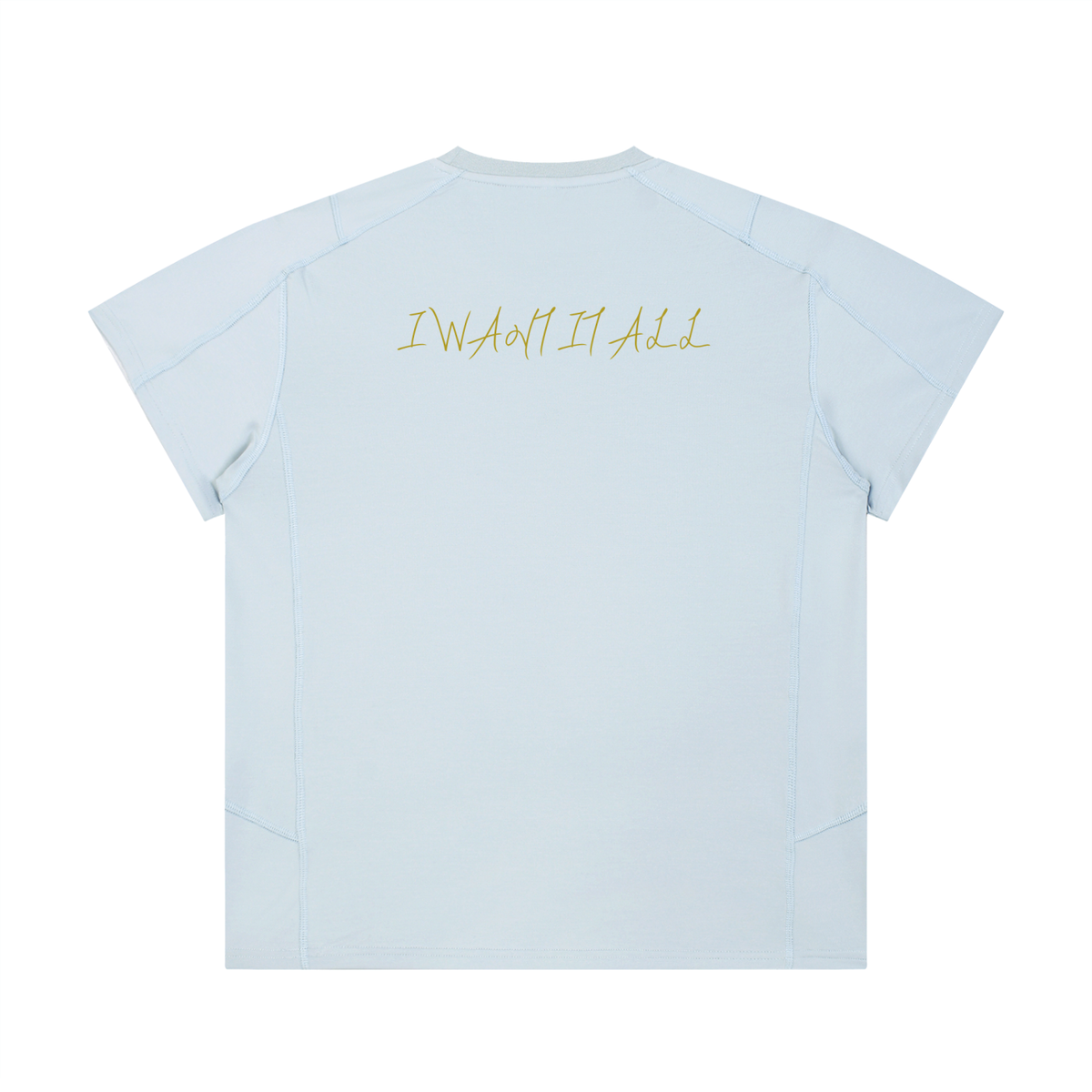 Unisex Contrast Stitch  Regular Fit T-Shirt