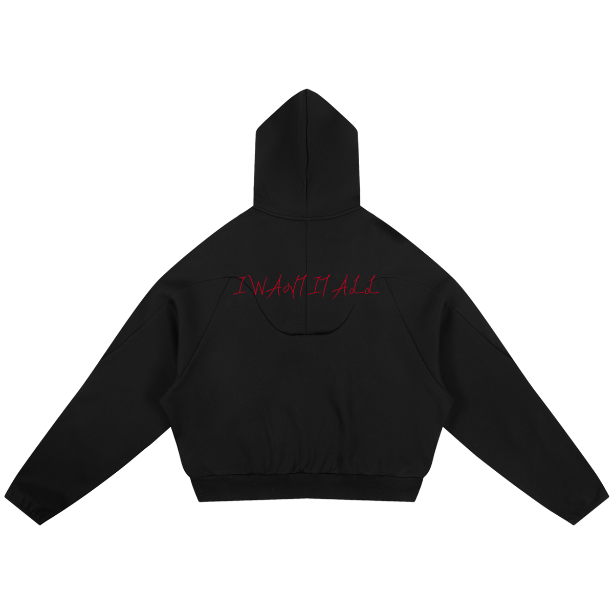 Curved Panel Raglan Hoodie