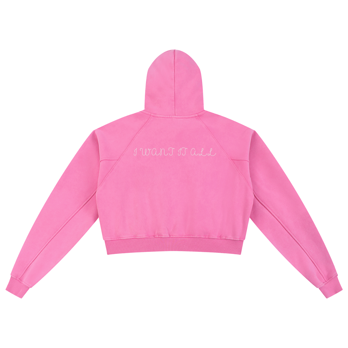 Snow Washed Cropped Hoodie
