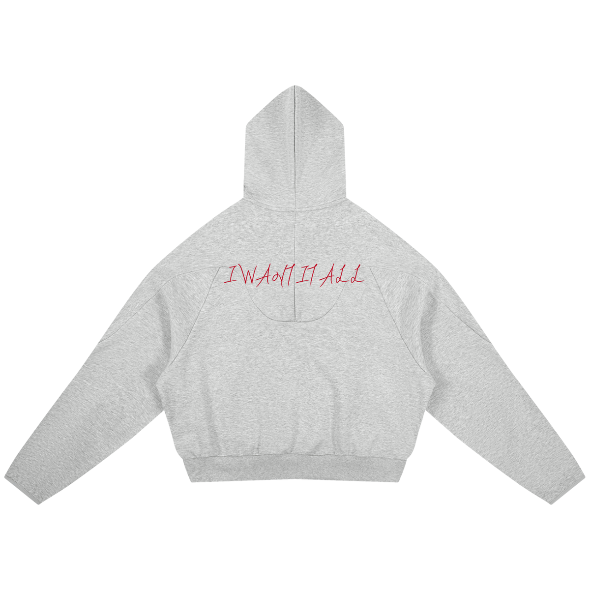Curved Panel Raglan Hoodie